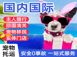 二连浩特赛乌素机场物流国际宠物托运 【国